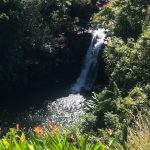 Deb's Hawaiian Holiday : a waterfall! 