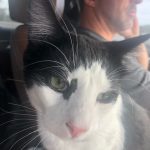 Deb's Trip Down To San Antonio: Deb's Trip Down To San Antonio