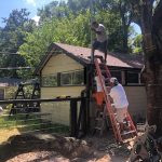 What's Going Down In Deb's Neighborhood?: A ladder in front of Deb's house with a fallen tree in front with men climbing up the tree. 