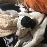 Memories Of George: Deb