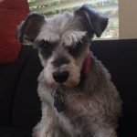 Classic Silent J look. : Silent J on the couch. 