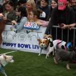 Puppy Bowl Pics: Puppy Bowl Pics