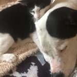 Memories Of George: Deb