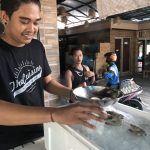 Fresh Seafood: Photo of Bali server hand picking fish 
