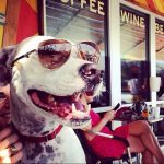 Paparazzi following Blue in his sunnies. : Blue in sunglasses sitting outside in front of a store front. 
