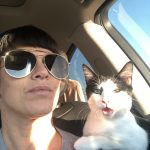 George O’Keefe's First Trip To San Antonio: Deb's cat George in the car with Deb on the way to San Antonio. 