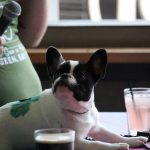 Jason and Deb's St. Patrick's Day At Kung Fu: Jason and Deb's St. Patrick's Day At Kung Fu