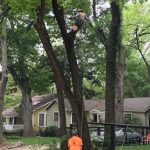 Unsafe Work Environment