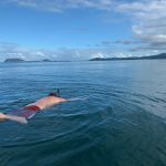 Jason's Hawaiian Holiday : Jason snorkeling 