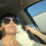 George O’Keefe's First Trip To San Antonio: Deb's cat George in the car with Deb on the way to San Antonio. 