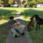 Bailey And Chaos And Echo