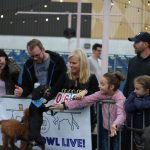 Puppy Bowl Pics: Puppy Bowl Pics. 