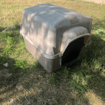 Deb Rescues An Abused Pit Bull: an old dirty plastic dog house