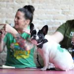 Jason and Deb's St. Patrick's Day At Kung Fu: Jason and Deb's St. Patrick's Day At Kung Fu