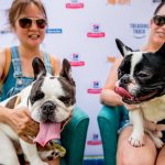 Deb And Alfie At Pup Fest : Deb And Alfie with Conor The Frenchie at Pup Fest. 