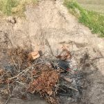 Gotta Start With Some Tinder