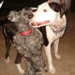 Blue and Silent J meet for the first time. : Silent J and Blue playing. 