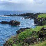 Deb's Hawaiian Holiday : views