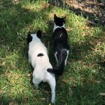 Memories Of George: Deb