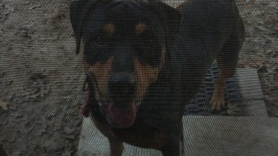 lillie20-20matthew20bumstead