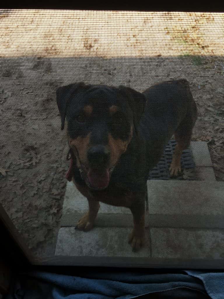 lillie20-20matthew20bumstead