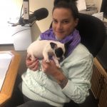 Say Hello To Alfie!: Jason and her new dog Alfie in the studio. 