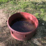 Deb Rescues An Abused Pit Bull: an old beat up plastic water dish full of gross dirty water with bits of grass in it