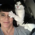 George O’Keefe's First Trip To San Antonio: Deb's cat George in the car with Deb on the way to San Antonio. 