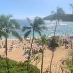 Jason's Hawaiian Holiday : beach 