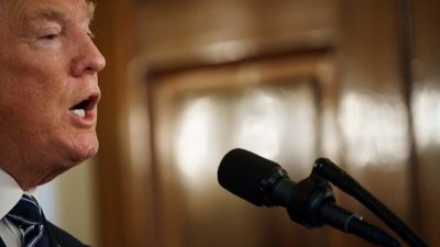 President Donald Trump speaking into a microphone