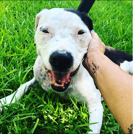 Blue on green grass with Deb's hand