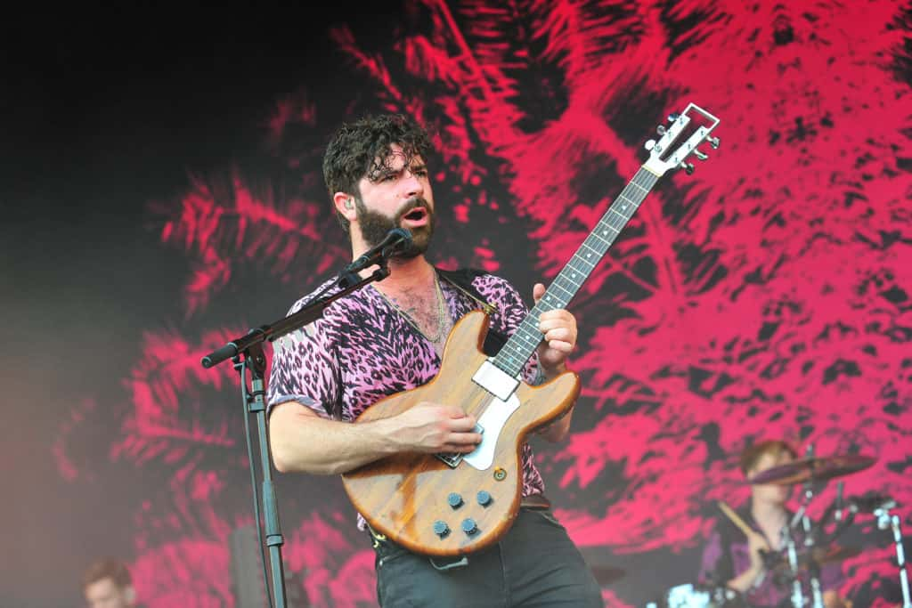 foals