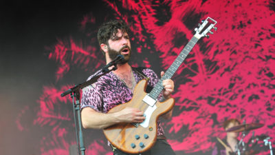 foals