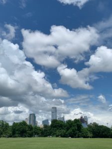 Zilker park on the one nice day of the week