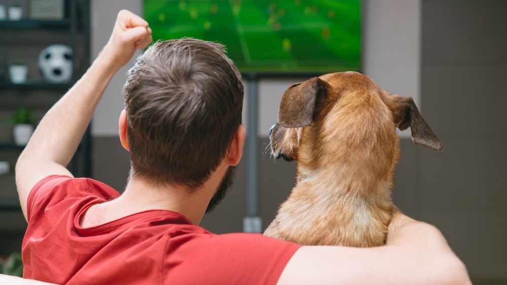 dog and human watching football
