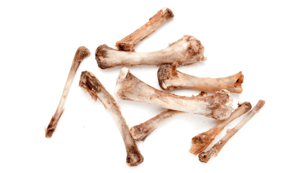 Chicken bones