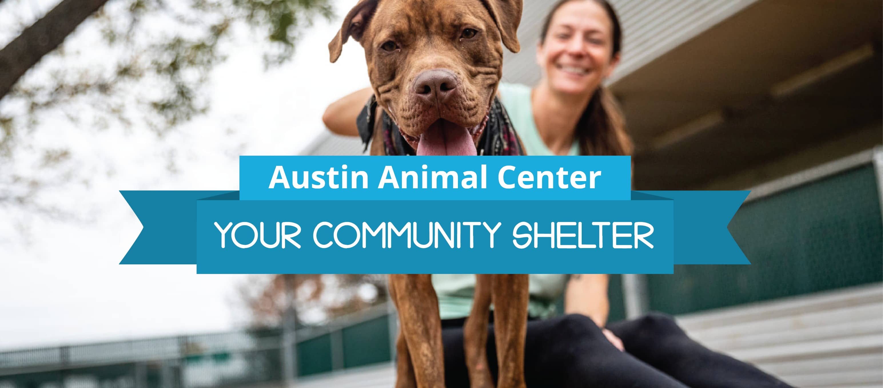 Austin Animal Center Your Community Shelter