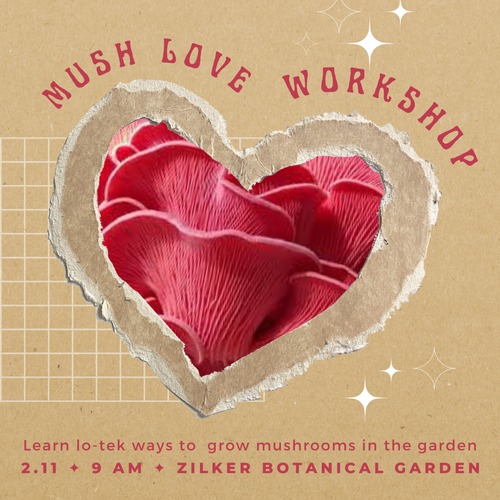 mush love workshop event flyer