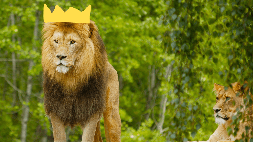 Lion with a crown. Image provided by Shutterstock.