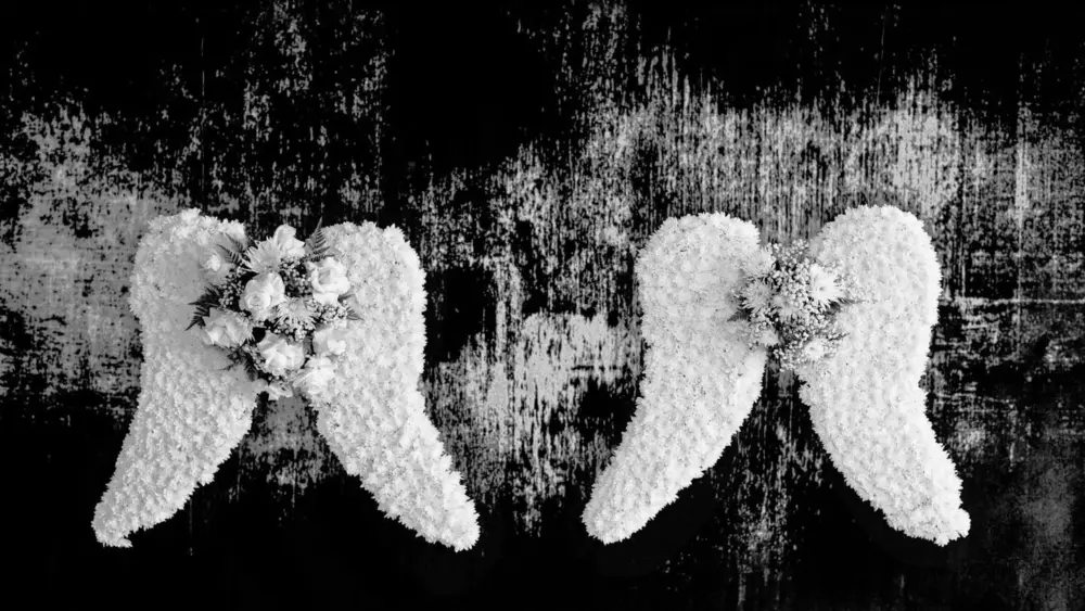 Chillville Playlist – October 26, 2025