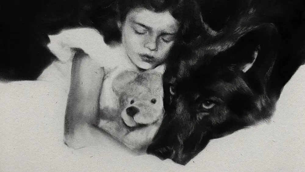 Chillville Playlist – February 22, 2026