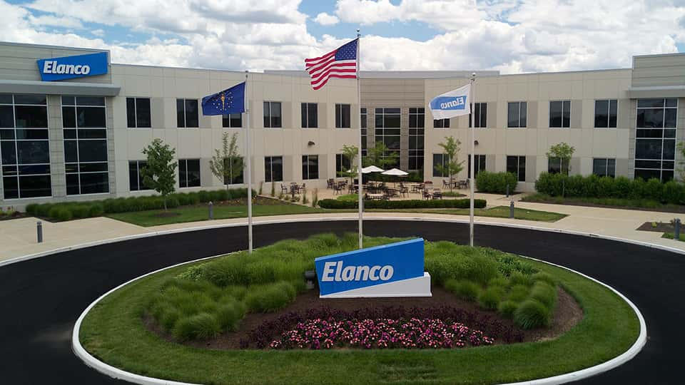 Elanco Cutting 250 Jobs In "Restructuring Effort" | 93.1FM WIBC