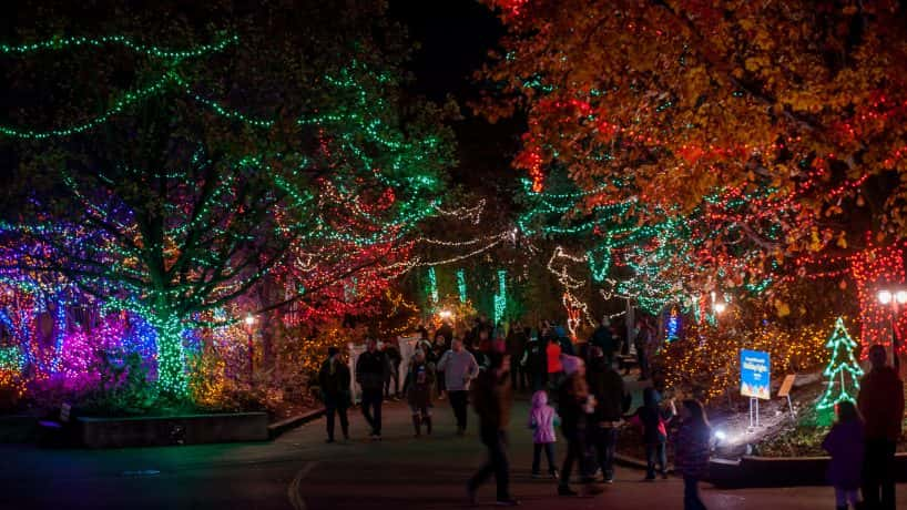 Christmas At The Zoo Returns With More Nights And Lights - 93.1FM WIBC