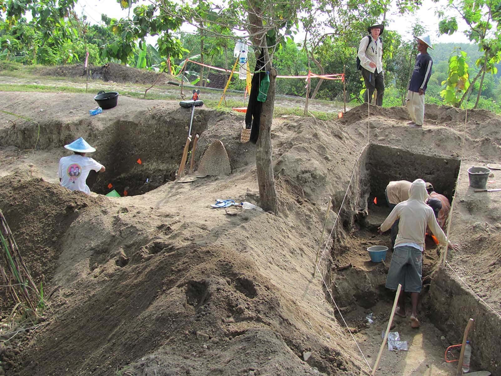 The Last Of The First Humans To Walk Upright Have Been Discovered 93 the-last-of-the-first-humans-to-walk-upright-have-been-discovered-93