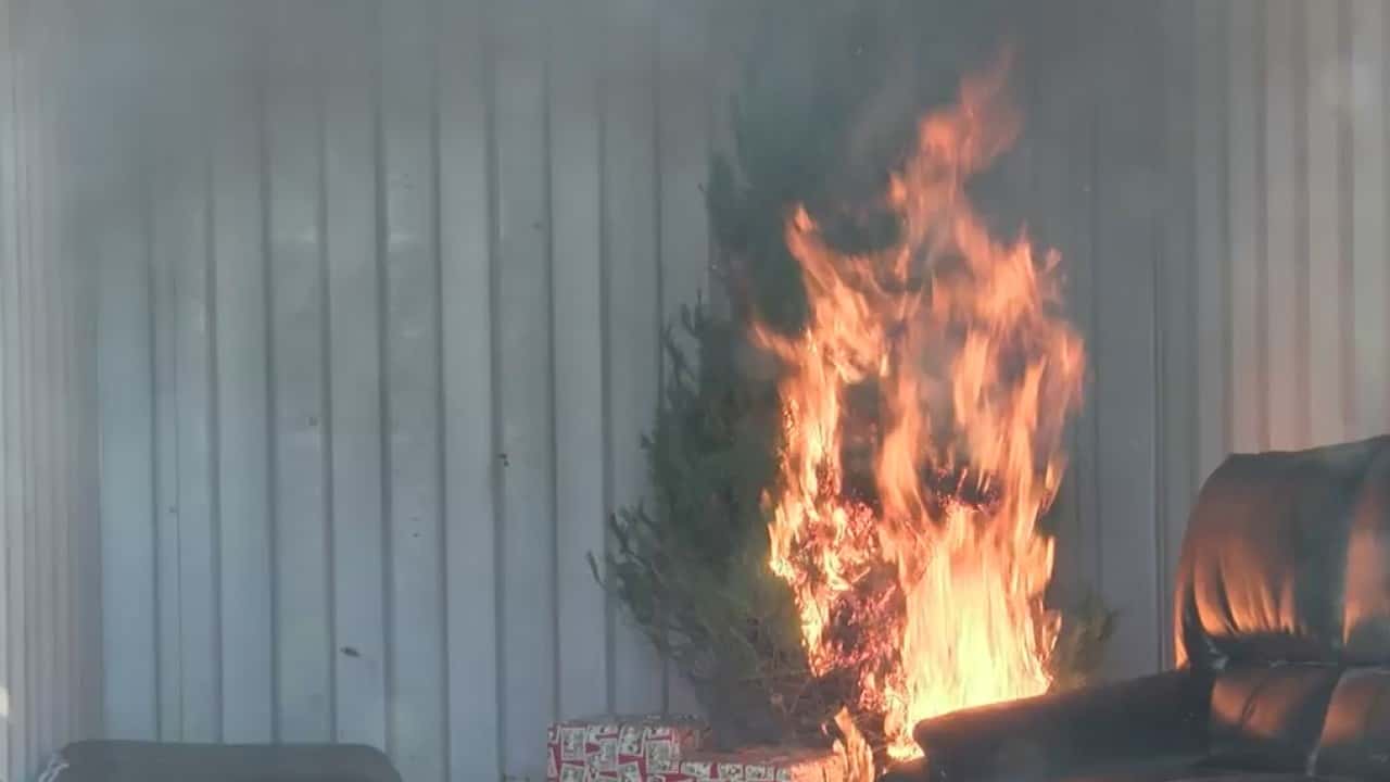 The Do's And Don'ts Of Keeping Your Christmas Tree From Catching Fire