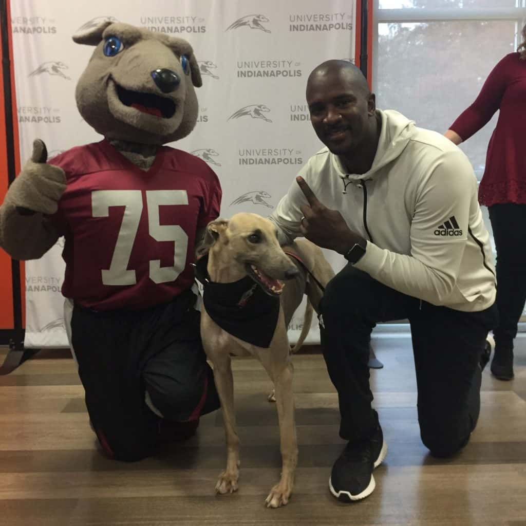 Uindy introduces live greyhound mascot 93 1fm wibc