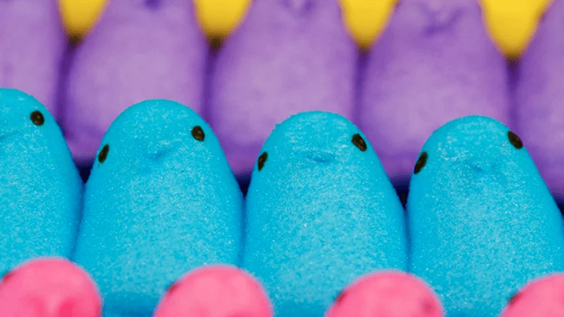 Peeps Candy Chicks of Many Colors Sit in a Row.