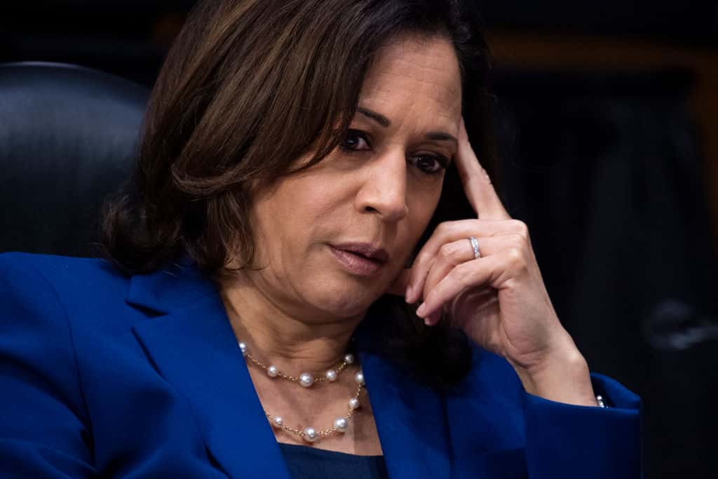 VP Harris Loses Another Staff Member - Vimarsana News