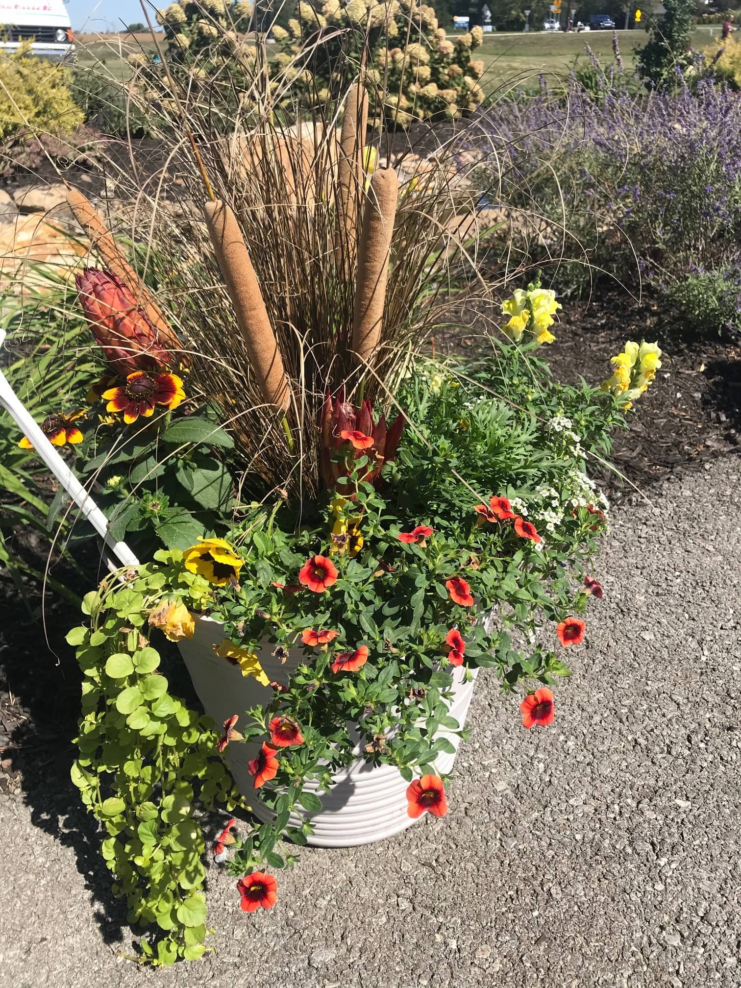 Fall Planter with catacombs