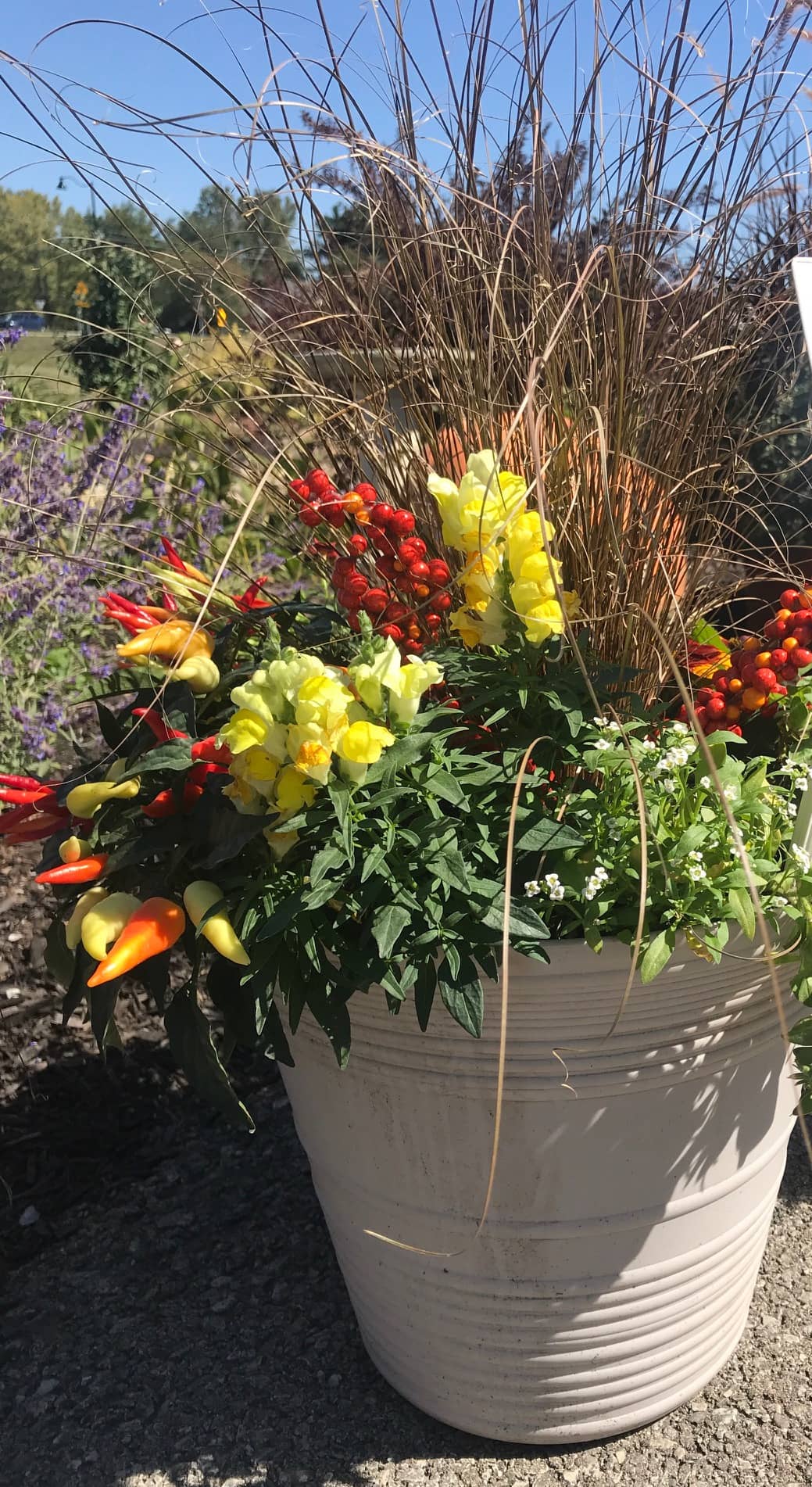 Fall Planter with tall grass